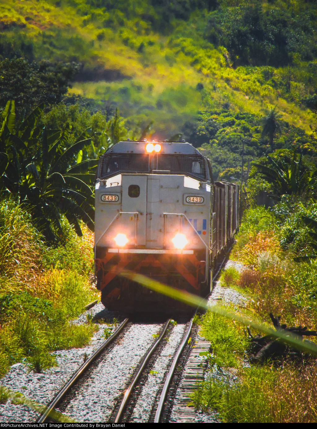 VLI 8439